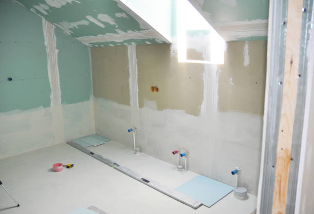 Best Environmental Consulting for Mold Prevention  in Forrest, IL