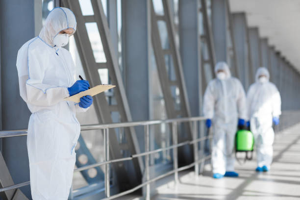 Best Emergency Mold Remediation  in Forrest, IL
